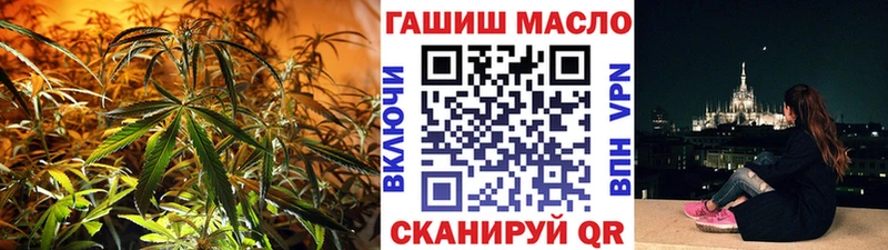мега зеркало  Майкоп  ТГК концентрат 