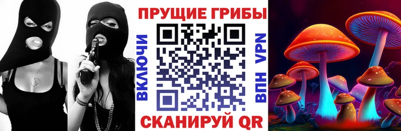 Галлюциногенные грибы прущие грибы  где продают наркотики  Майкоп 