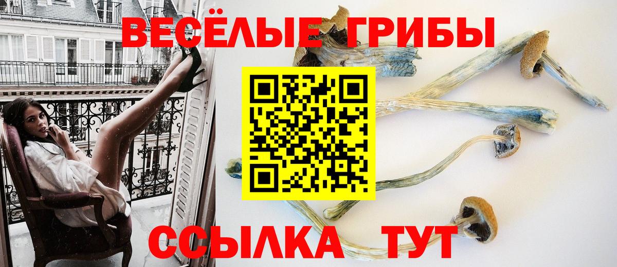 Псилоцибиновые грибы Magic Shrooms  Псилоцибиновые грибы мицелий  Вход с VPN  Майкоп 