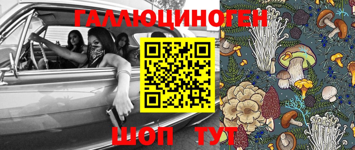 Галлюциногенные грибы мухоморы Майкоп